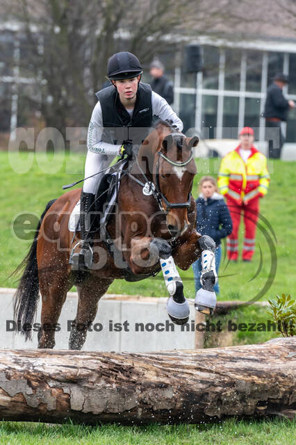 Goldene Schärpe 2020 - Pferde