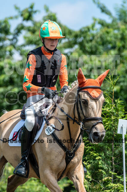 Goldene Schärpe 2021 - Ponys