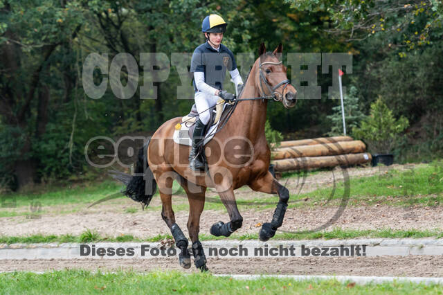 Goldene Schärpe 2020 - Pferde