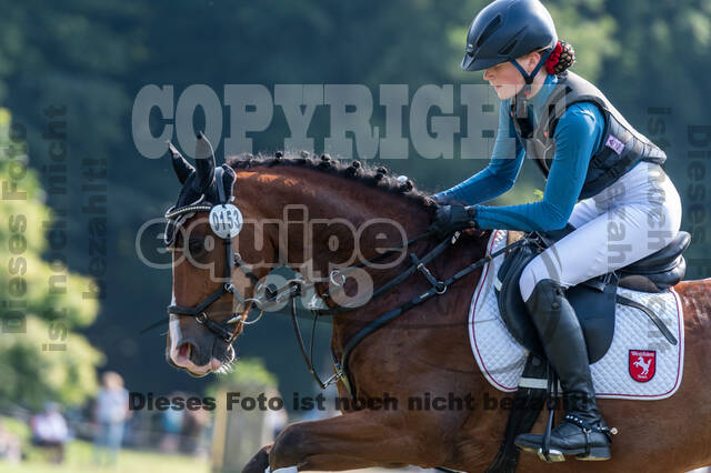 Goldene Schärpe 2021 - Ponys