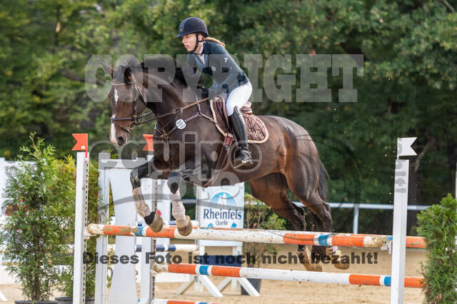 RFV Dinslaken-Hiesfeld (Herbstturnier)