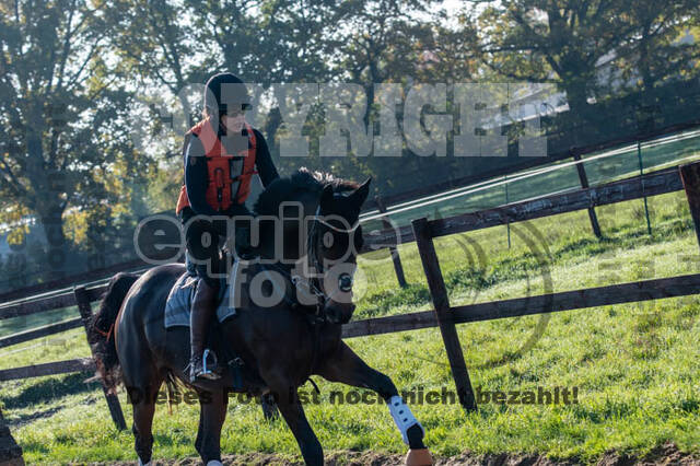 Vielseitigkeitslehrgang mit Jürg Kurbel (9.+10.11.2019)