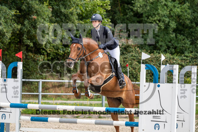 Late-Entry-Vielseitigkeit Langenfeld (06.+07.07.2020)