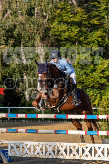RFV Dinslaken-Hiesfeld (Herbstturnier)