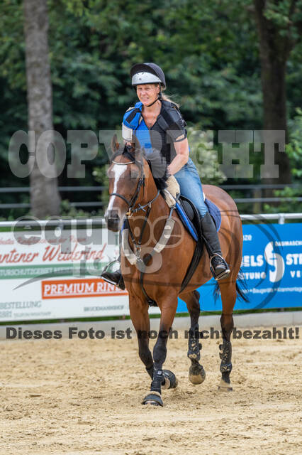 Hunter Geländetraining 10.07.2021 (Sonsbeck)
