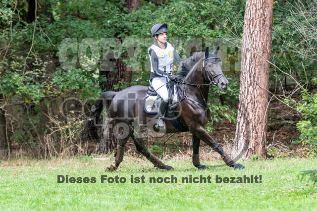 Vielseitigkeit RSV Wesel Obrighoven (26.+27.09.2020)