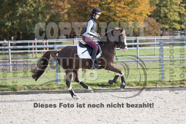 IGV Lehrgang der Sieger der Cups mit Frank Ostholt