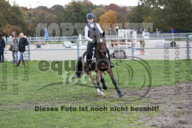 IGV Lehrgang der Sieger der Cups mit Frank Ostholt