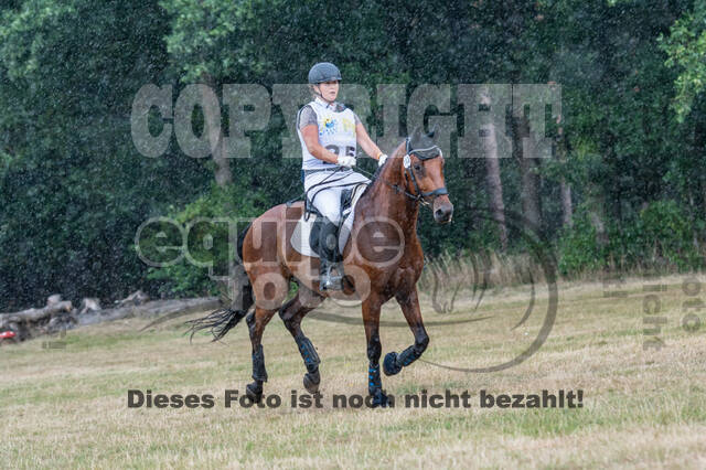 Late-Entry Vielseitigkeit Hamminkeln/Wesel (01.+02.08.2020)