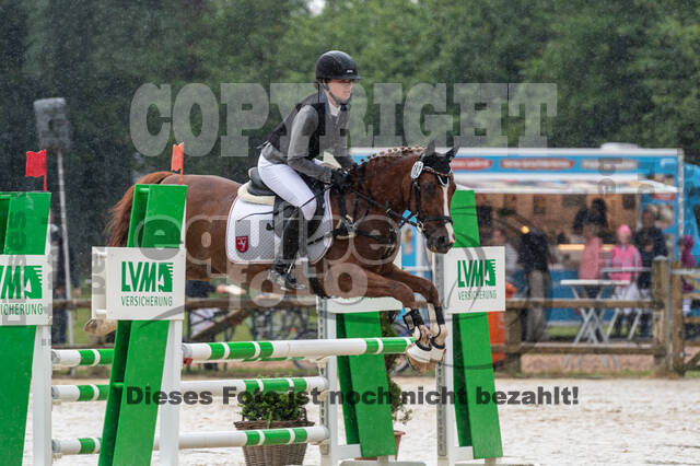 Goldene Schärpe 2021 - Ponys