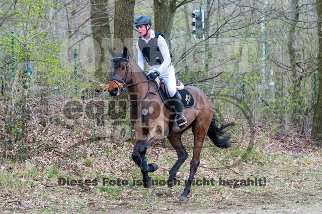 Eventing im Pferdesportzentrum Rheinland (Late Entry 14.03.2022)