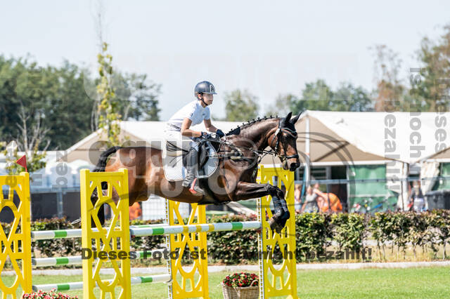 Kronenberg - De Peelbergen (August 2020)