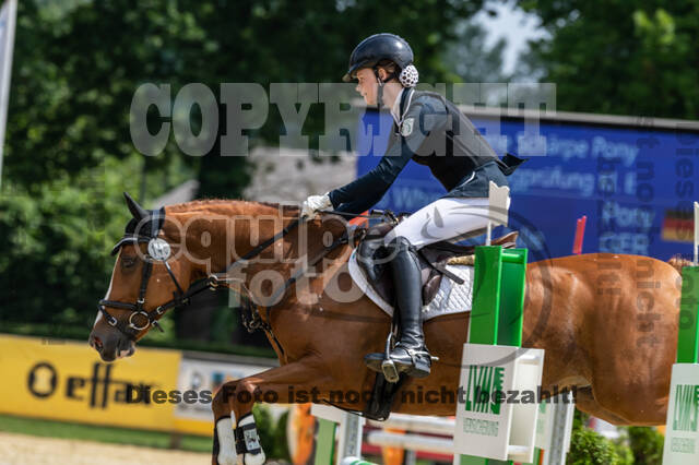 Goldene Schärpe 2021 - Ponys