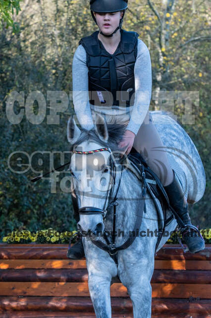 Vielseitigkeitslehrgang mit Jürg Kurbel (9.+10.11.2019)