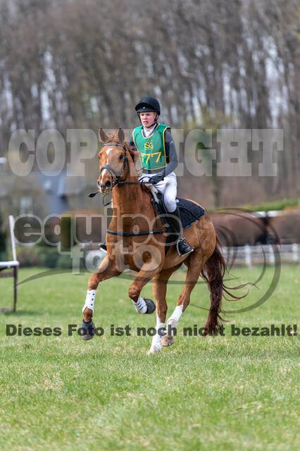 Vielseitigkeitsturnier RV Seydlitz Kamp (03.04.2022)