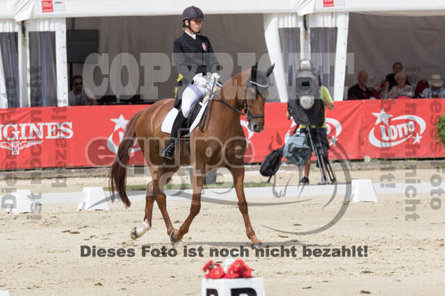 FEI European Championship Eventing 2017