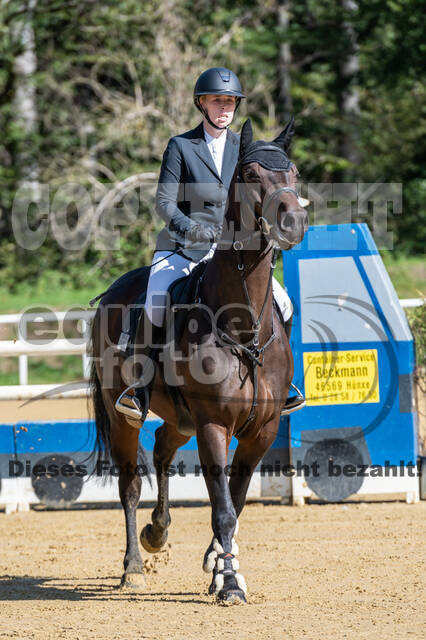 RFV Dinslaken-Hiesfeld (Herbstturnier)