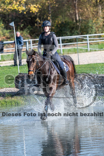 IGV Lehrgang der Sieger der Cups mit Frank Ostholt