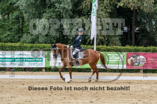 Goldene Schärpe 2021 - Ponys