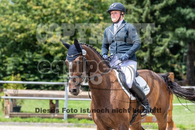 Late-Entry-Vielseitigkeit Langenfeld (06.+07.07.2020)