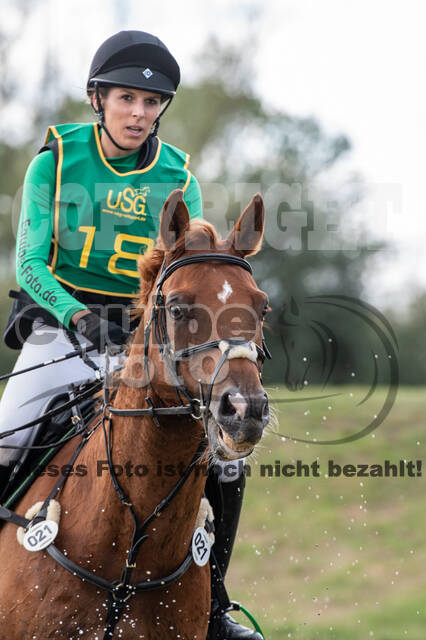 Landesturnier Rheinland, Vielseitigkeit, 22.+23.08.2020