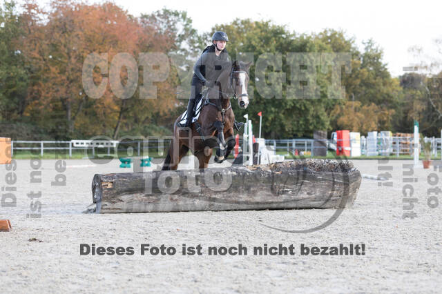 IGV Lehrgang der Sieger der Cups mit Frank Ostholt
