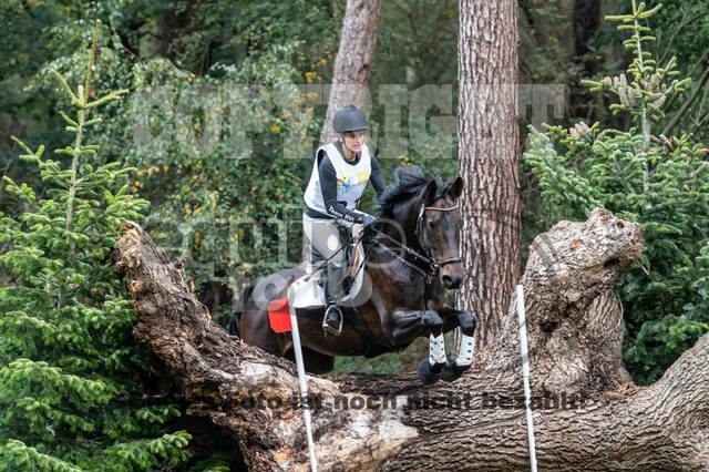 Vielseitigkeit RSV Wesel Obrighoven (26.+27.09.2020)