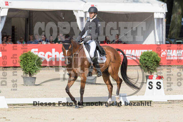 FEI European Championship Eventing 2017