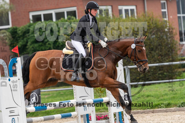 Goldene Schärpe 2020 - Pferde