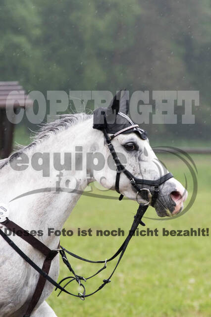 Vielseitigkeitsturnier ZRFV von Lützow Hamminkeln