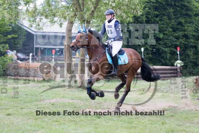 Vielseitigkeitsturnier ZRFV von Lützow Hamminkeln