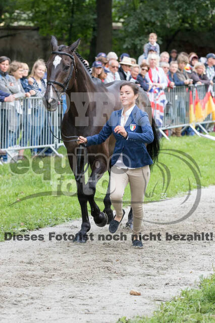 FEI European Championship