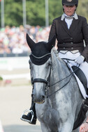 FEI European Championship Eventing 2019
