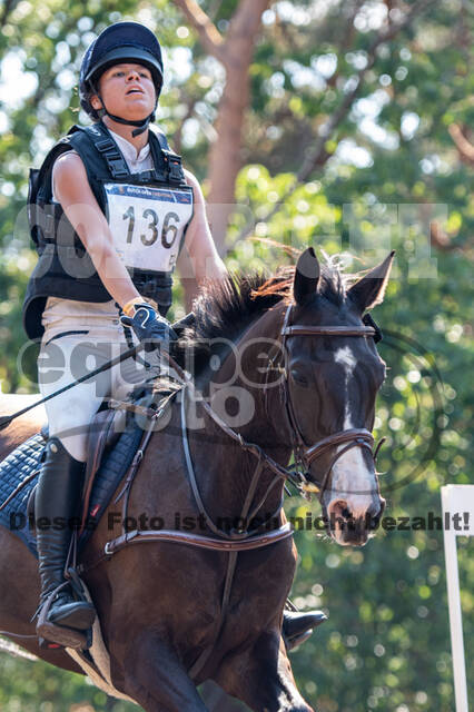 De Peelbergen (August 2020)