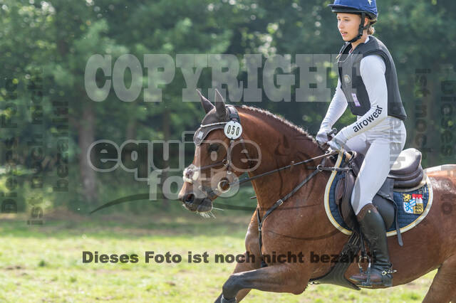 Goldene Schärpe 2021 - Ponys