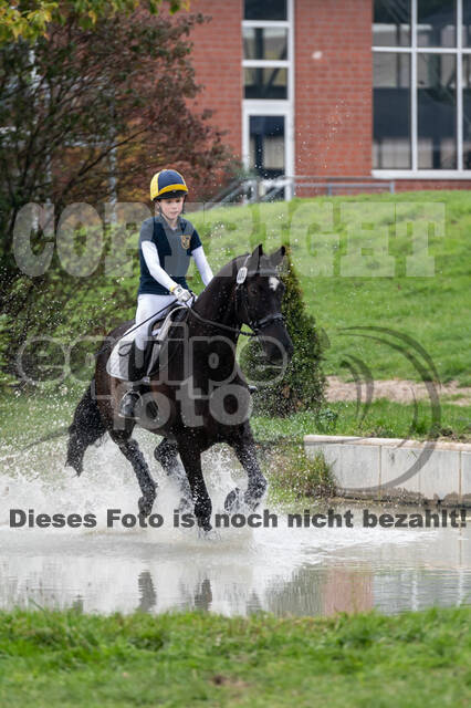 Goldene Schärpe 2020 - Pferde