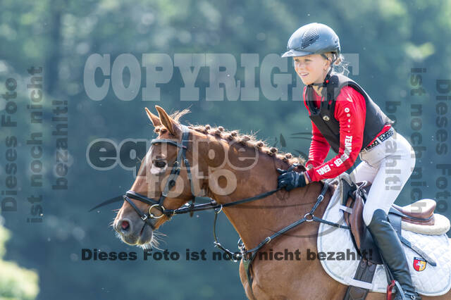 Goldene Schärpe 2021 - Ponys