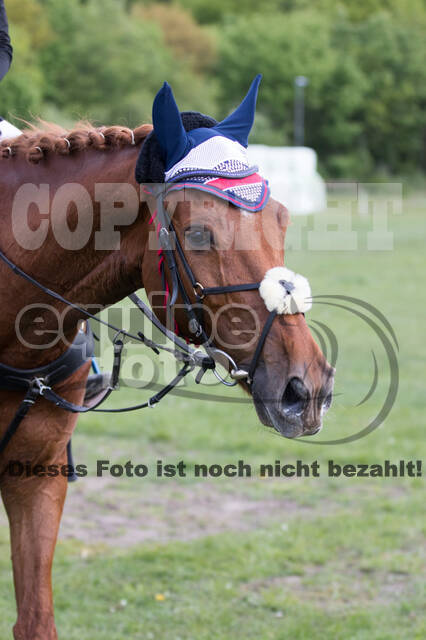 Sterne über Münster 2019 - CCI***S