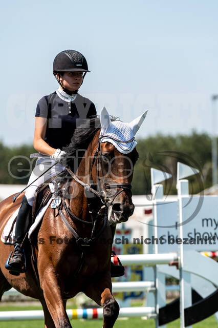 Kronenberg - De Peelbergen (August 2020)