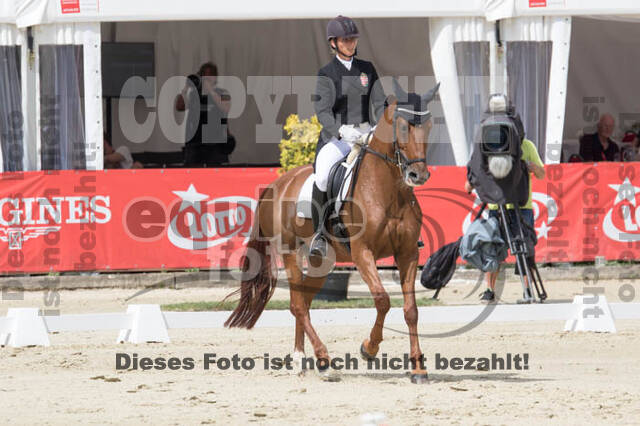 FEI European Championship Eventing 2017