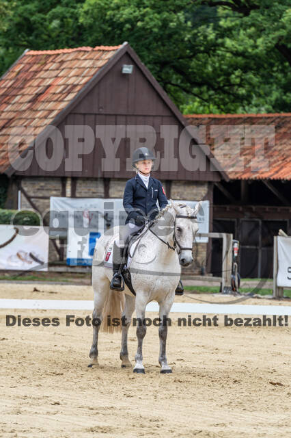 Goldene Schärpe 2021 - Ponys