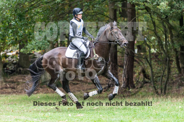 Vielseitigkeit RSV Wesel Obrighoven (26.+27.09.2020)