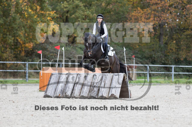 IGV Lehrgang der Sieger der Cups mit Frank Ostholt