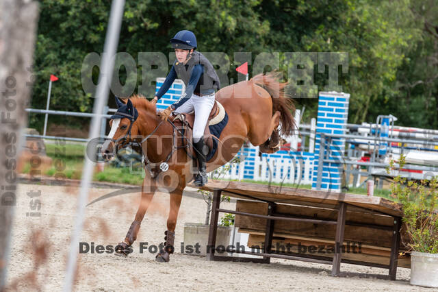 Late-Entry-Vielseitigkeit Langenfeld (11.+13./14.06.2020)
