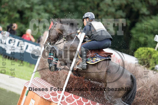 FEI European Championship