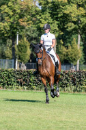 Kronenberg - De Peelbergen (August 2020)