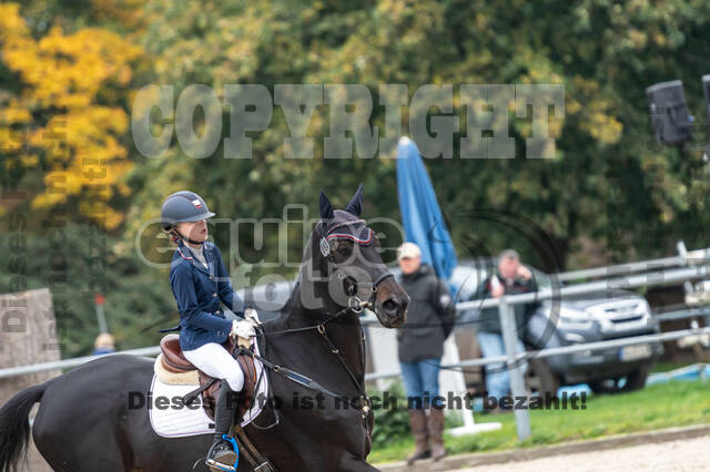 Reiter Schleswig-Holstein