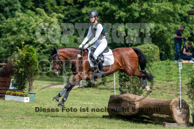 Goldene Schärpe 2021 - Ponys