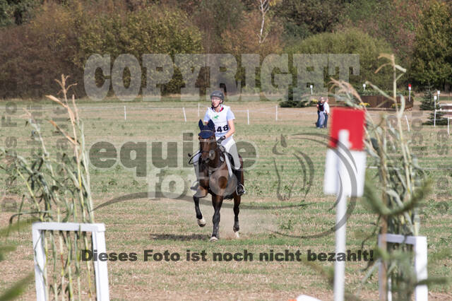 IGV Kleve - Vielseitigkeitsturnier