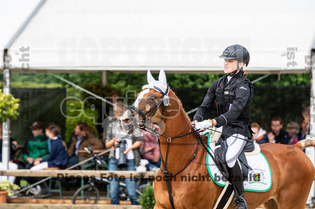 Goldene Schärpe 2021 - Ponys